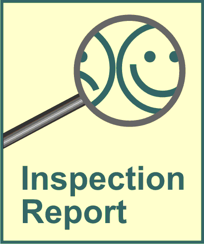 InspectionReport_eng_411x490.gif